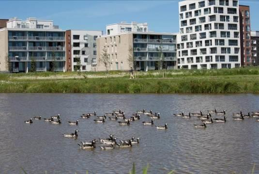 4 ALUEEN NYKYTILA 4.1 MAISEMA Vanhankaupunginlahden maisema on monimuotoinen kokonaisuus luonnontilaa ja kulttuurimaisemaa.