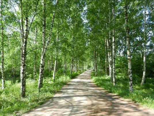 tullut uusia rakennuksia. Kivinokan metsä ja Herttoniemen metsäselänne luovat lahdelle puskurivyöhykkeen lahden ja asutuksen väliin.