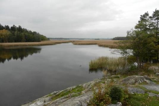 sia. Ruovikon ja metsän väliin on kasvanut tiheä puusto ja nykyisin koko lahtea ympäröikin lähes