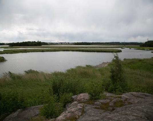 Puusto on ikääntynyt ja aukkopaikat ovat vähitellen jääneet varjoon. Hakalanniemessä nk.