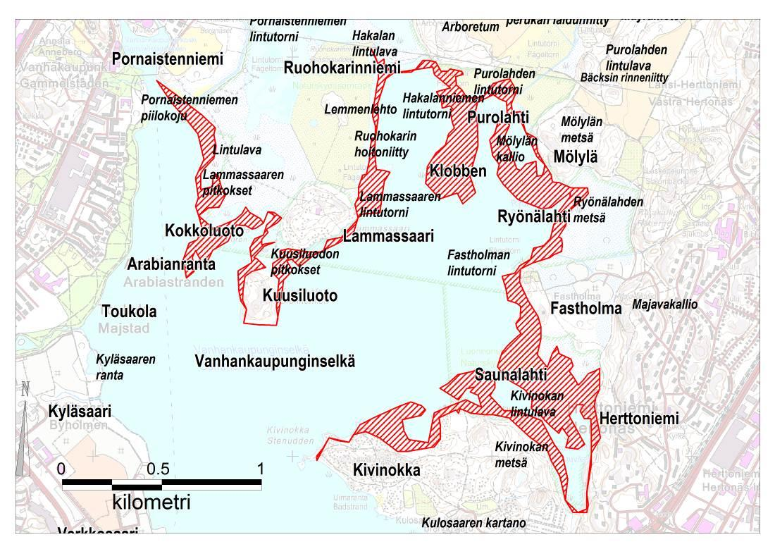 Alla on mitattuina suurimmat muutokset ruovikon levittäytymisessä ulospäin eri ranta-alueilla välillä 1943 213.