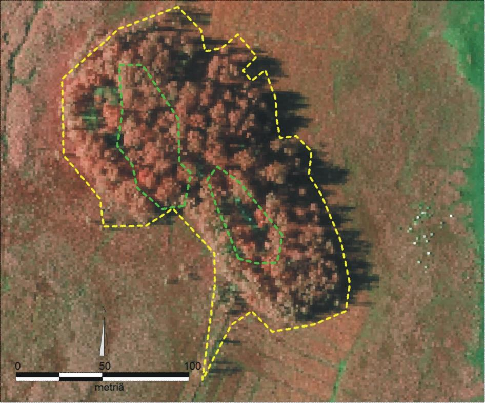 6.5 PUUSTO JA PENSASTO Natura-alueella linnuston elinolosuhteiden parantaminen ohjaa myös metsänhoitoa.