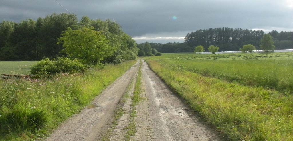 1760-luvun jälkeen Pekolan eteläpuolinen lahti on kuivunut vedenpinnan laskun seurauksena ja otettu viljelyskäyttöön. Kyseinen lahti on merkitty 1761 karttaan kaislikkoisena matalana lahtena.
