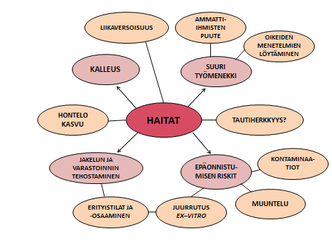 Kuvio 3. Mikrolisäyksen haitat nuolilla merkittynä Hartmannin ym. (2011) mukaan. Kuvion reunoille on lisätty opinnäytetyötä varten tehdyistä haastatteluista saadut tulokset.