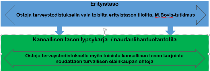 Pelisäännöt lypsykarjojen, emolehmätilojen välillä A. Tila Nasevassa ja th-käynnit ajan tasalla B. Myytävillä eläimillä ei ole sairauden oireita C.