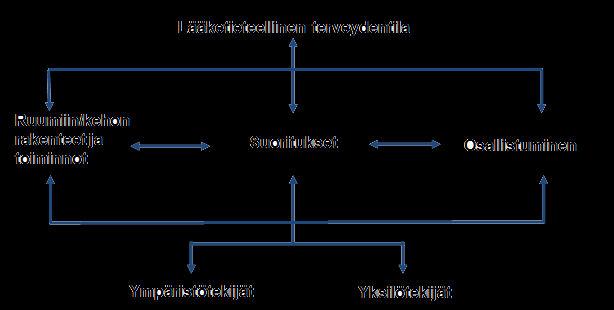 vuorovaikutuksessa edellä mainittuihin käsitteisiin. (WHO & Stakes 2004, 3, 10.