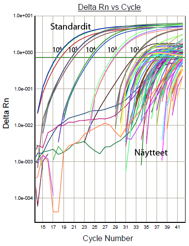 24 7 Tulokset 7.1 Kvantitatiivinen PCR Kvantitatiivisella PCR-menetelmällä tutkittiin gram-positiivisten ja gram-negatiivisten bakteerien PAH-hajotusgeenin kopioluvun määrää.