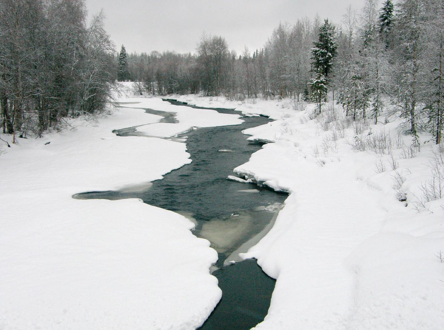 Kuva 31. Soasjoen koski Koskenkylän kohdalla. Koekalastuksissa koskesta saadaan eri ikäisiä taimenen poikasia.