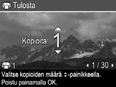 Tämä kuva Merkitsee näkyvän kuvan. Voit selata toiseen kuvaan -painikkeilla. Kaikki merkityt... Avaa Tulosta kaikki merkityt -alivalikon. Korosta jokin tunniste ja paina sitten -painiketta.