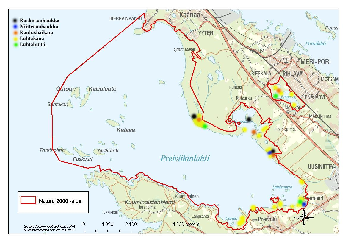 18 Kuva 5. Ruovikkolajien pesimäalueita Preiviikinlahdella (Luoma 2008).