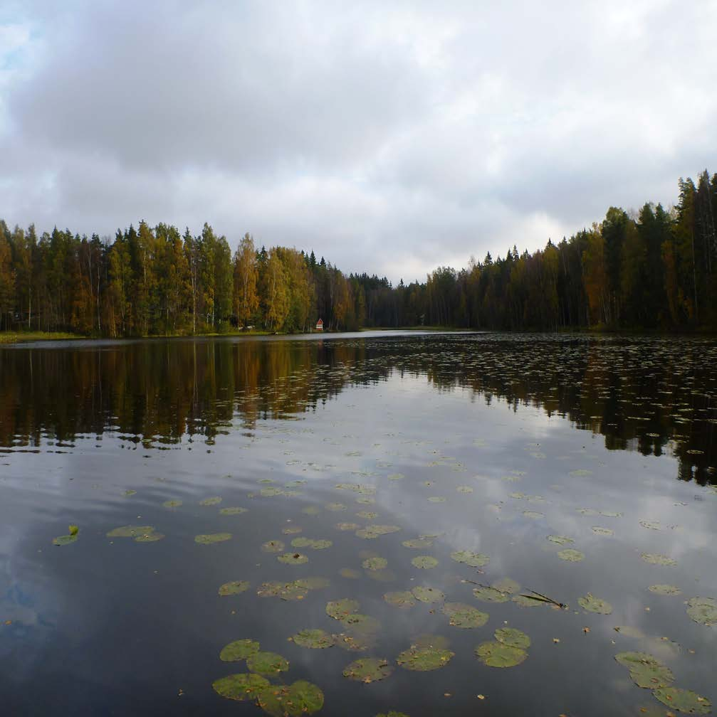 Raportteja 1 2013 Sipoon Mörtträsketin kunnostussuunnitelma Sipoon