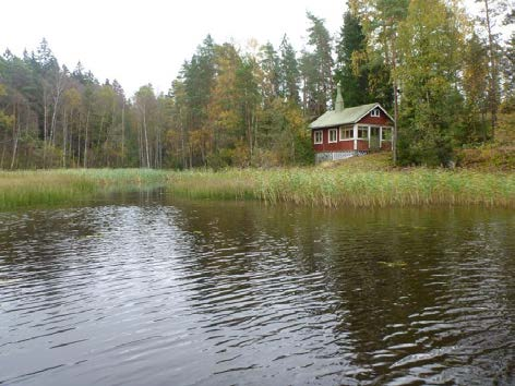 Avovesialueella kelluslehtisten kasvustojen vallitsevana lajina oli ulpukka (Nuphar lutea), lisäksi havaittiin tiheitä kaitapalpakkokasvustoja (Sparganium angustifolium) järven pohjoisosassa.