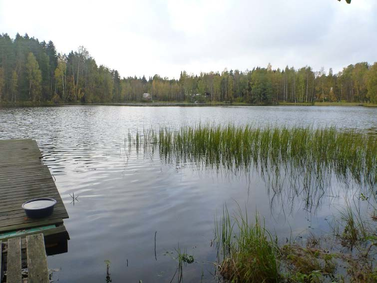 Kunnostuksen tavoitteet Mörtträsketin kunnostuksessa tulisi tavoitella parempaa happitilannetta ja vedenlaatua.