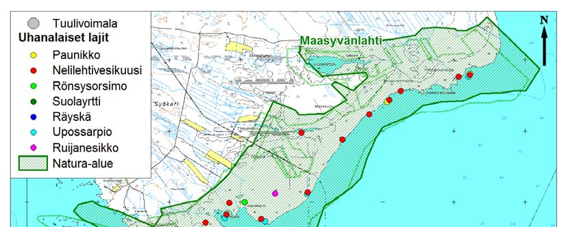 Kuva 11. Isomatala-Maasyvänlahden Natura-alueella havaitut uhanalaiset kasvilajit. Upossarpiota on havaittu Isomatalan Kärjenperän perukassa sekä Vähämetsänkuljun alueella.