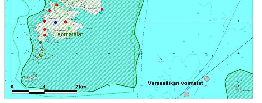 Havainto oli kooltaan noin 350 yksilöä matalassa rantavedessä. Nämä olivat keskikokoisia, harvakseltaan yksittäin tai ryhmissä ja sijaitsivat usein kivien ympärillä.