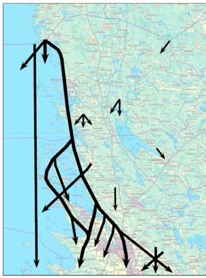 aluekohtaisella tasolla. Havaintokatsauksen laadinta on toteutettu yhteistyössä paikallisten lintutieteellisten yhdistysten (Porin lintutieteellinen yhdistys ry ja Rauman Seudun Lintuharrastajat).