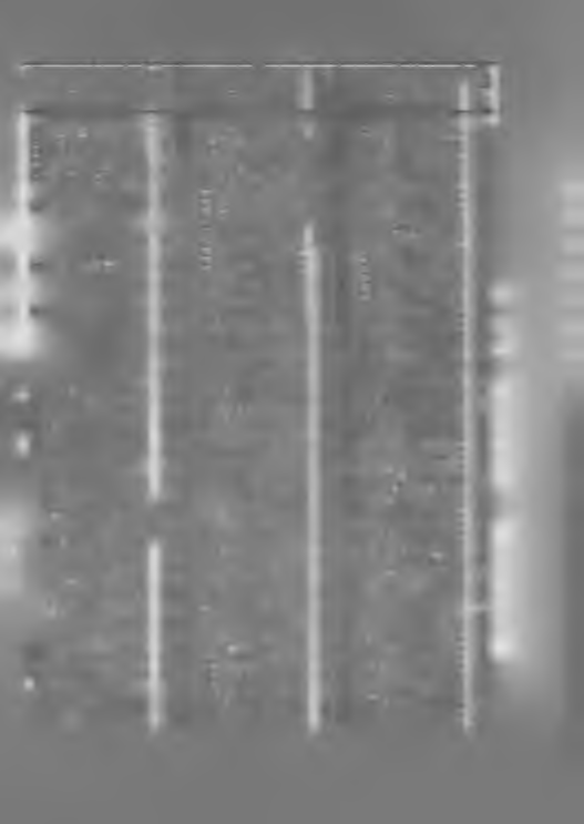 45 A sem a S ta tio n V yöhyke A sem a S ta tio n V yöhyke A sem a S ta tio n V yö- j hyke K ensington (L ondon)... 1 B a tte rse a... 1 1 P u tn e y... 1 K e tte rin g... 1 B exley H e a th.