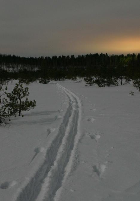 Toivotamme kaikille MPHL:n jäsenille Virkistävää hiihtoloma-aikaa! TILAISUUKSIA, JOISSA LIITOSTA MUKANA 09.01. Logistiikkalaitoksen perustamisesta henkilöstöinfo, Tampere 14.01. PVPJ-seurantaryhmän kokous (PLM) - pääluottamusmies Elina Laiho Pardian työvaliokunta 14.