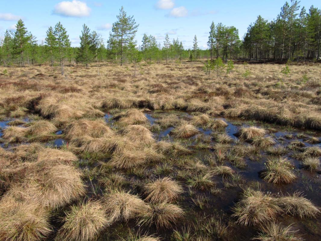 nähtävissä (alaoikea), mutta paikoin