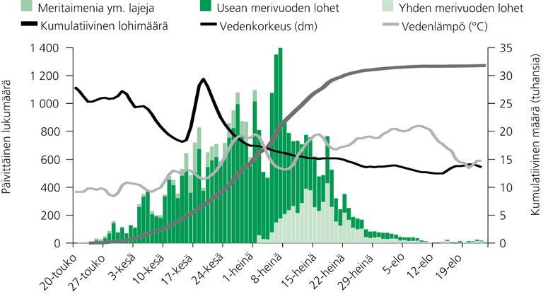 1 7 Liitteet 7.1 Kesän 2009 luotaustulokset Kesän 2009 aikana ylöspäin, Kattilakoskin ohi, vaeltaneita kaloja arvioitiin olevan 33 900 kpl.