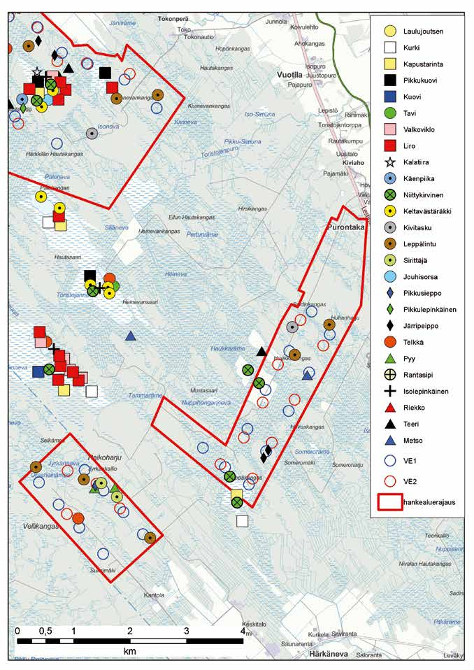 Muuttolinnusto Myös muuttolinnustoselvityksen tulokset on kuvattu erillisraportista (liite 7) tarkemmin.