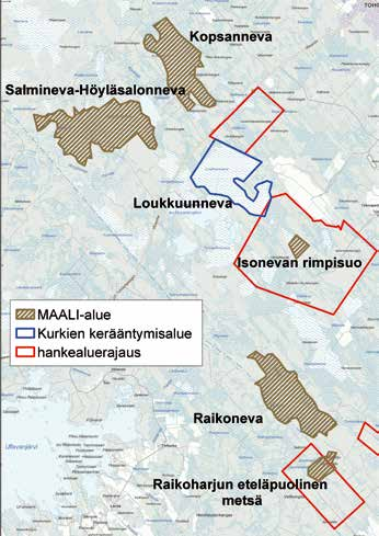 Edellä mainittujen voimaloiden rakentaminen sisältää riskin soidinalueen siirtymiseen tai autioitumiseen.