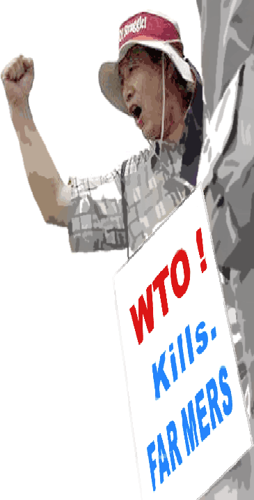 WTO:n päätöksenteko WTO:n korkein päättävä elin on ministerikokous, johon