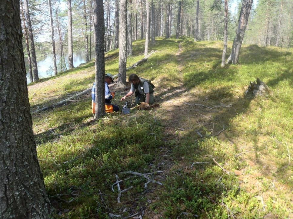 4 Arvotus: 0 Ei määritelty Kohteen 0 Ei