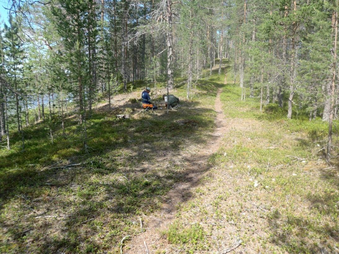 10 Olotila: Arvotus: 3 Esitys mj-luokka II Kohteen 2 Ei käytössä