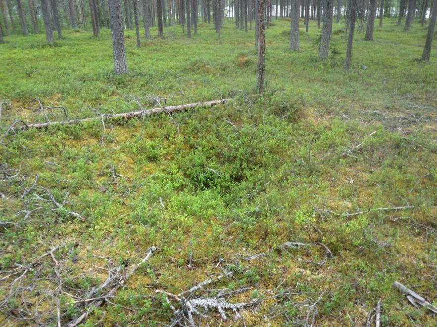 käytössä 2 Muinaisjäännösrekisteri II Ympäristön 0 Ei