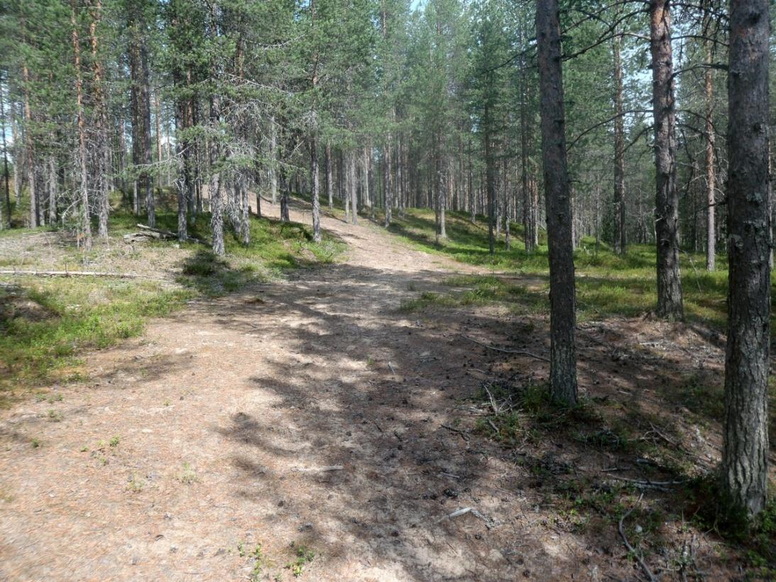 24 Kuvaus: KMO-kulttuuriperintöinventointi Viranomaisrekisterinro: 1000009097 Kunto: 3 Huono Olotila: Arvotus: 3