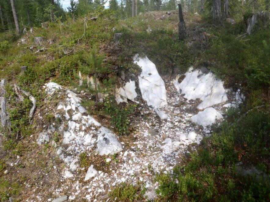 käytössä 9 Muu suojeluarvo Ympäristön 0 Ei määritelty