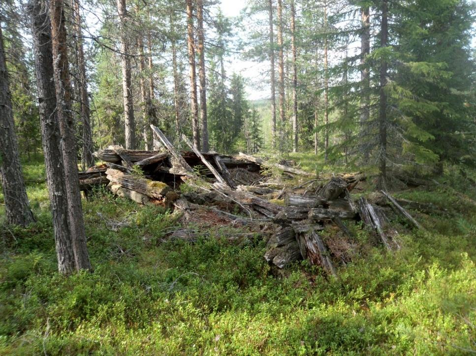47 Ympäristön 0 Ei