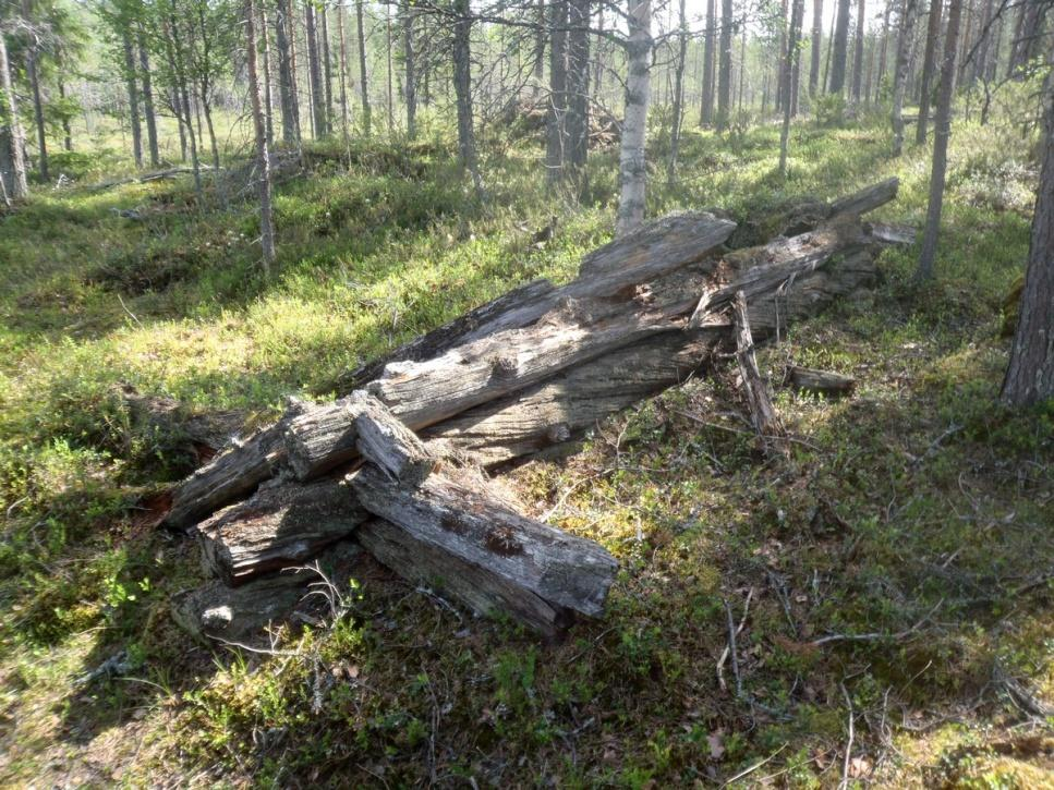 56 Ympäristön 0 Ei