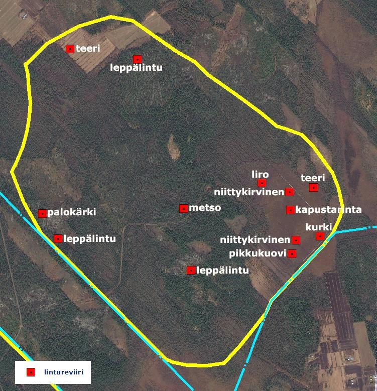 Selvitysalueen suojelullisesti merkittävä linnusto ja eläimistö Linnustoselvitys Lakeuden luontokartoitus on tehnyt Kärmeskallion tuulivoima-alueen linnustoselvityksen v. 2015.