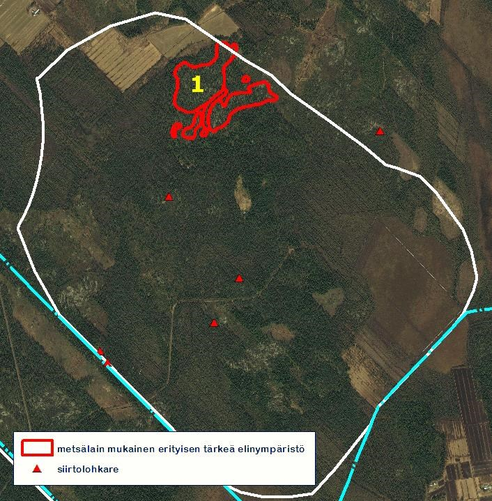 Metsälain mukaiset erityisen tärkeät elinympäristöt 1.