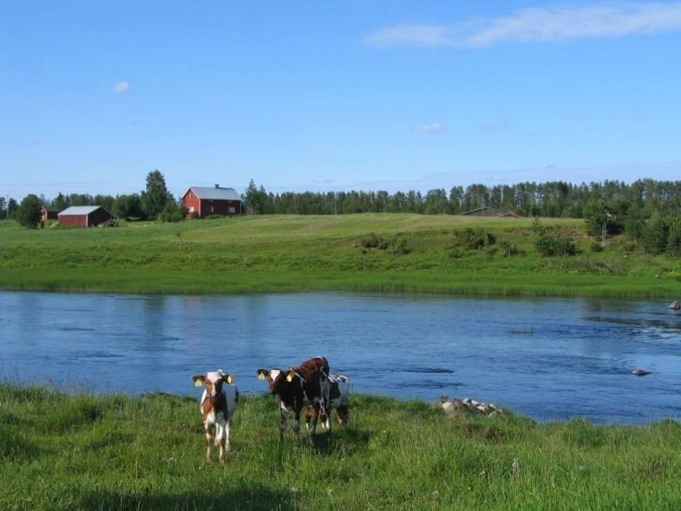 Lapin luonnon kestävä matkailukäyttö Luonnonsuojelualueiden matkailukäyttö on lisääntynyt merkittävästi. Lapin luonto on herkkä.