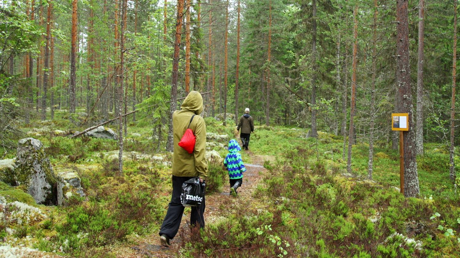 Retkeilijöitä Haapamäen Haaravuoren (Hakamäen) luontopolulla. Kuva: Ari Aalto. Järjestimme taas suositun luontoillan Keurusselän Seuran kanssa Keuruun kotiseutumuseolla.