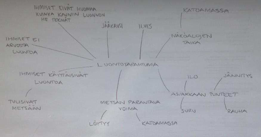 54 Kuva 12. Tapahtuman oksistosta mind map.