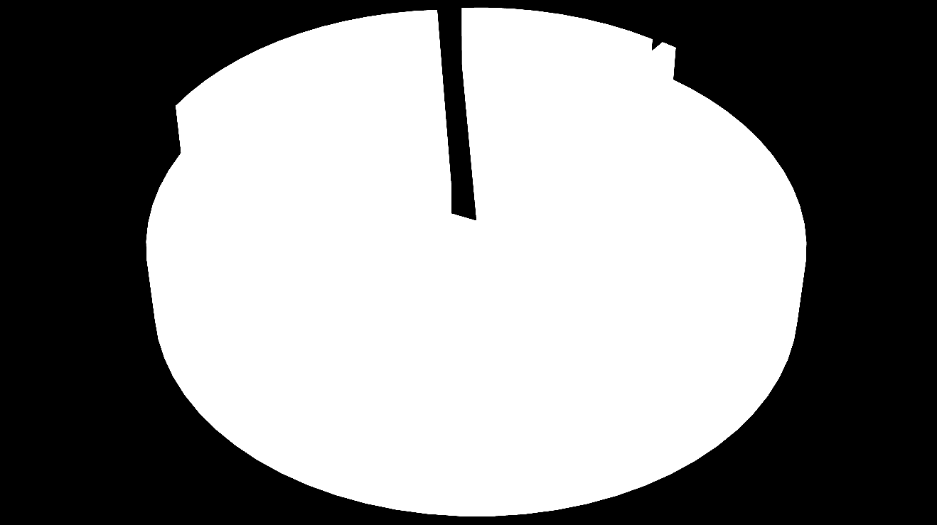 17% Alue-, lähi- ja pienkirjastot; 11%