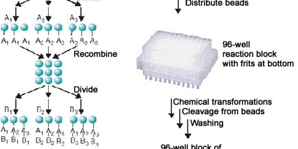 Dekonvoluutio: Iteratiivineninen uudelleensynteesi ja skriinaus Seos A Seos B (aktiivinen) Seos C Aktiivinen seos In a parallel synthesis, the reactions are individual isolated
