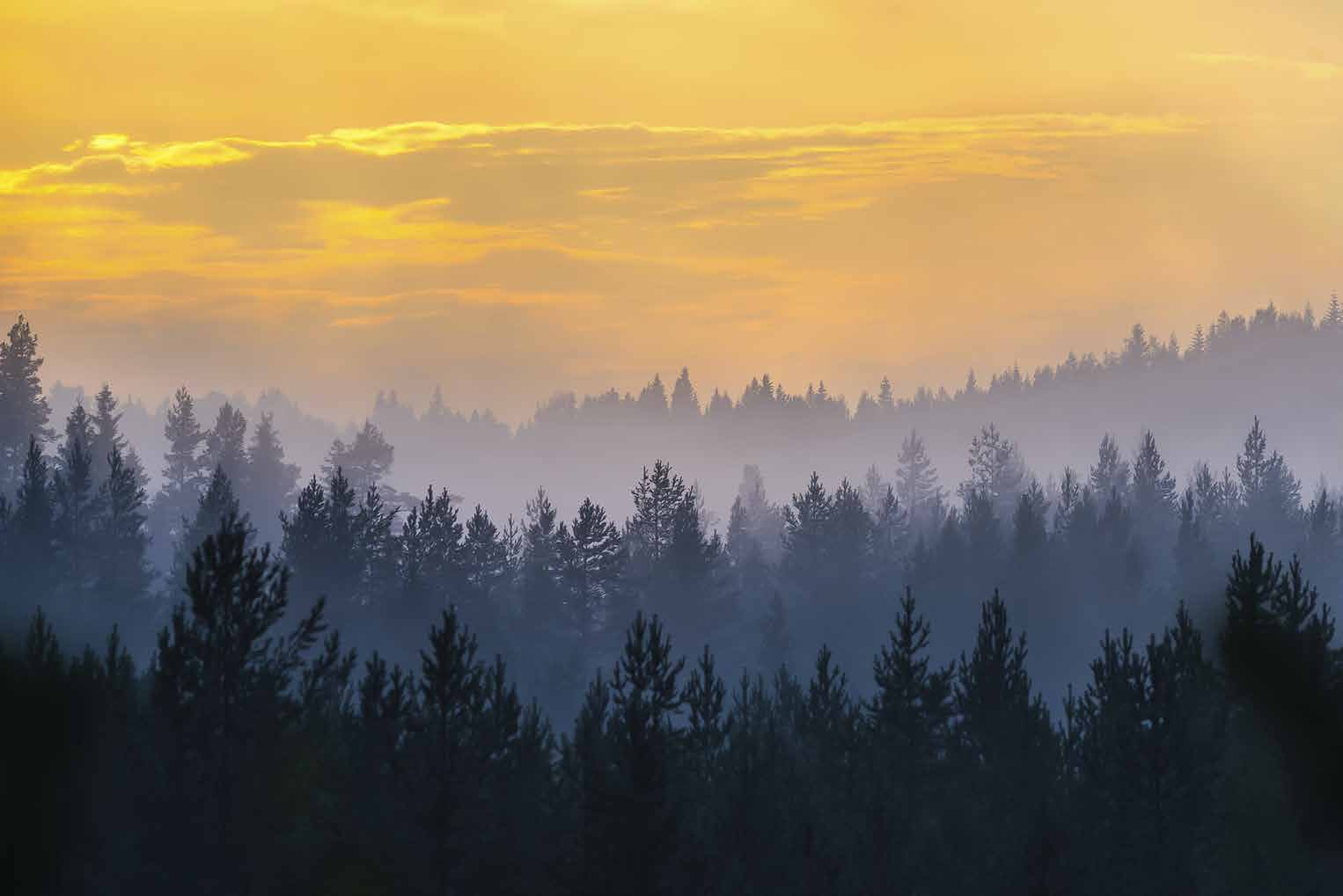 Kajaani Sotkamo Rakennemalli KAJAANI SOTKAMO YHTEINEN RAKENNEMALLI KEHITTÄMISTAVOITTEET TULEVAISUUSVAIHTOEHDOT KAJAANI SOTKAMO YHDISTELMÄMALLI KEHITTÄMISTOIMENPITEET KAJAANI SOTKAMO YHTEINEN