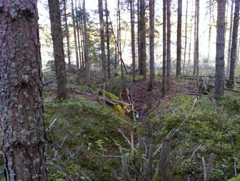 lk: 0 (ei muinaisjäännös mutta suojelukohde) Ajoitus: Laji: