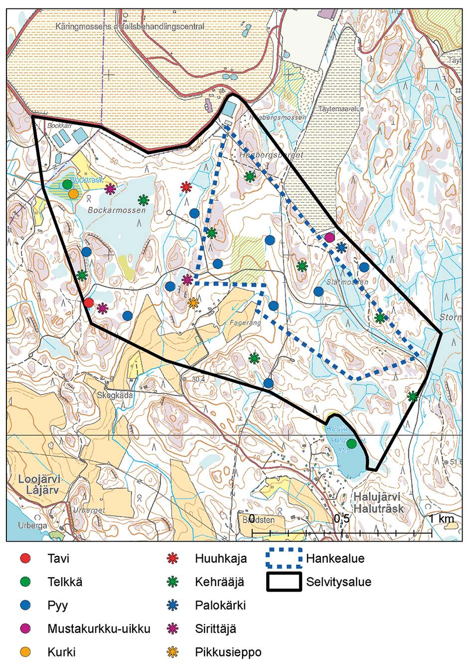 12.4.2 Linnusto Hankealueella ja sen lähiympäristössä havaittiin yhteensä 53 pesiväksi tulkittavaa lajia.