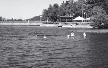 Järvien virkistys- ja luontoarvoja vaalitaan Vesijärvi II-projektissa ja Päijät-Hämeen järvien kuormituksen pienentäminen -projektissa on tarkastettu kaikki Vesijärven, Alasenjärven, Kymijärven ja