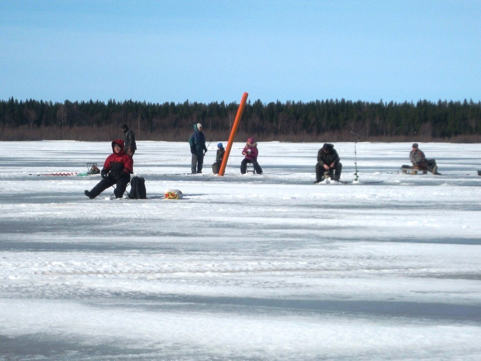 TULEVAA TOIMINTAA 25.-26.2.2017 Rakenna ja Asu 2017-messut, Kuopio-halli Katso erillisilmoitus. 15.3.2017 Sääntömääräinen kevätkokous, Hotelli Puijonsarvi klo 18.