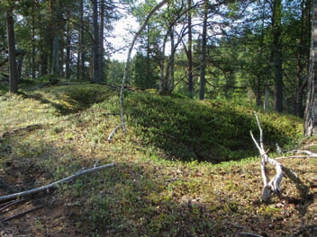 Hoidamme suojelualueita ja luonnonvaroja vastuullisesti ja kustannustehokkaasti Metsähallituksen luontopalveluille on uskottu vastuu lähes kaikista maamme luonnonsuojelualueista.
