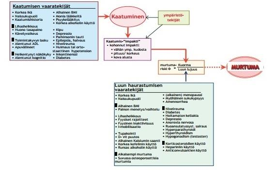 18 miljoonaa euroa. (Pajala 2012, 14; Piirtola, Akkanen, Sintonen, Isoaho, Ryynänen & Kivelä 2002, 4841 4848.) Kuva 3. Kaatumisen vaaratekijät.