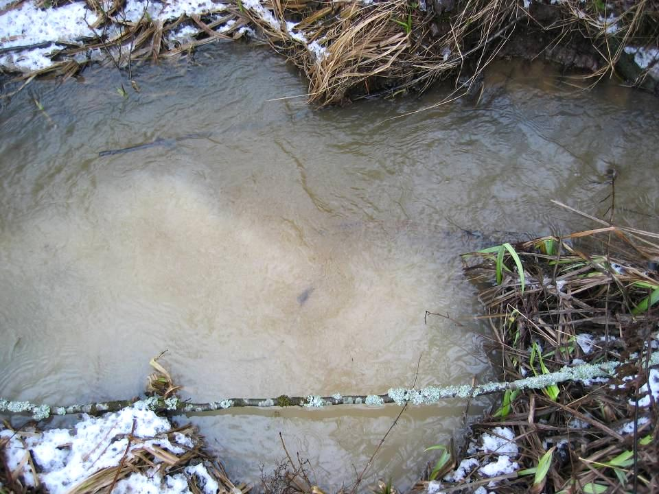 Salaojien kautta tuleva kuorma Metsästä