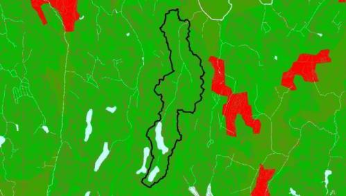 Metsäpuro 137 ha